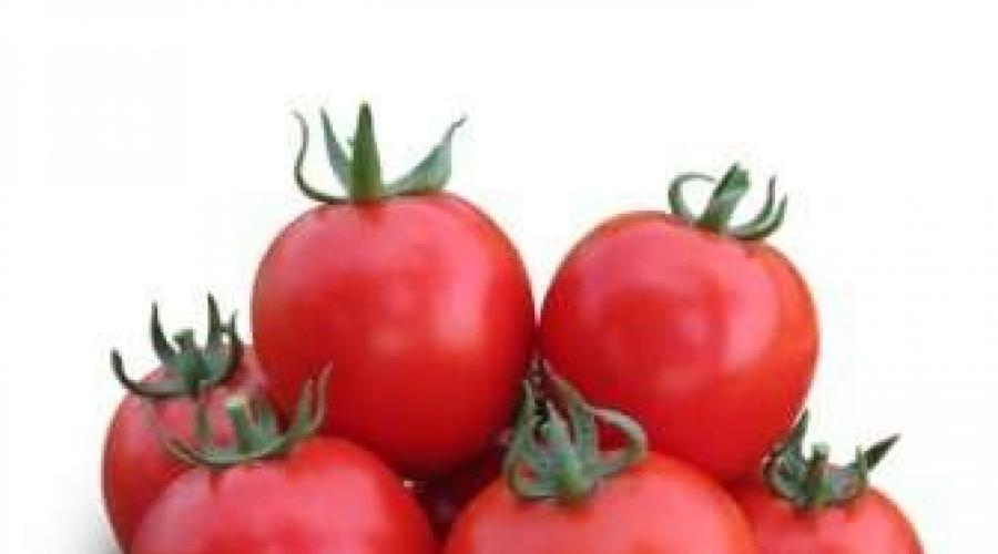 Какие семена хорошие сорта помидор. Какие семена томатов самые лучшие – получаем богатый урожай! Выносливые к фитофторе