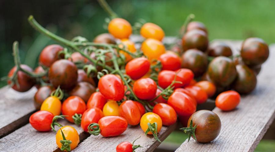 Как сохранить помидоры свежими? Секреты длительного хранения свежих помидор: как хранить томаты до Нового года? Как дольше сохранить помидоры в свежем виде
