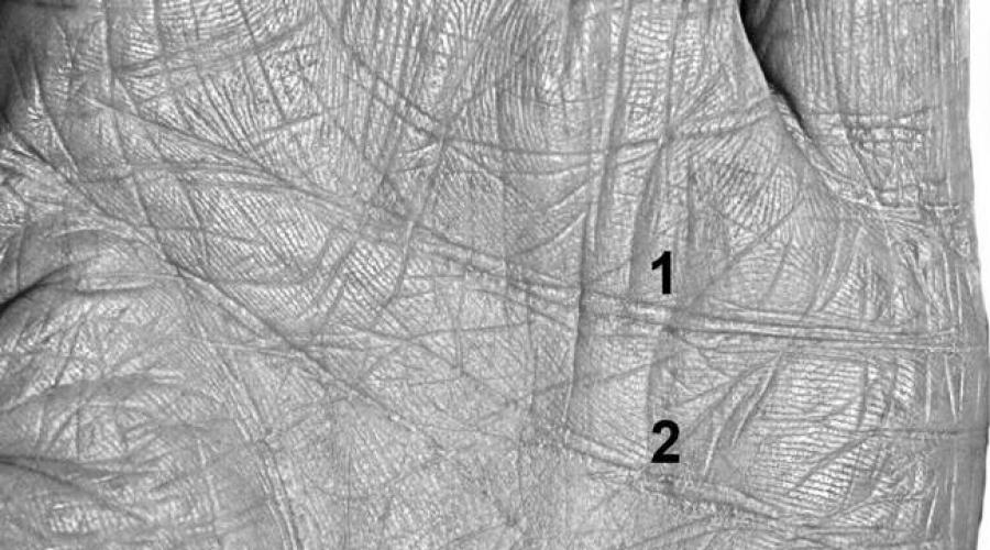 Что означает линия сердца на правой руке. Расположение и значение линии сердца на ладони. Где заканчивается линия сердца